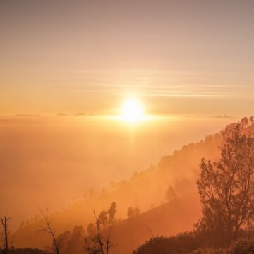 nanda-dian-pratama-N2xWGF_fssk-unsplash