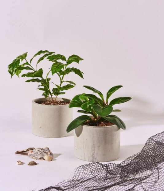 Concrete plant pots made from materials upcycled from discarded oyster shells and fishing nets.