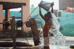 43066100090_8f630ef2ab_c