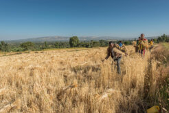 16360126759_3063f087b0_o