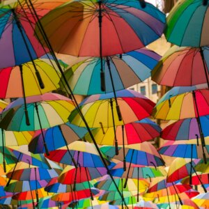 paul-bryan-mRujg11CusY-unsplash