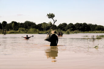 25266683322_fbf8097541_o 25266683322_fbf8097541_o