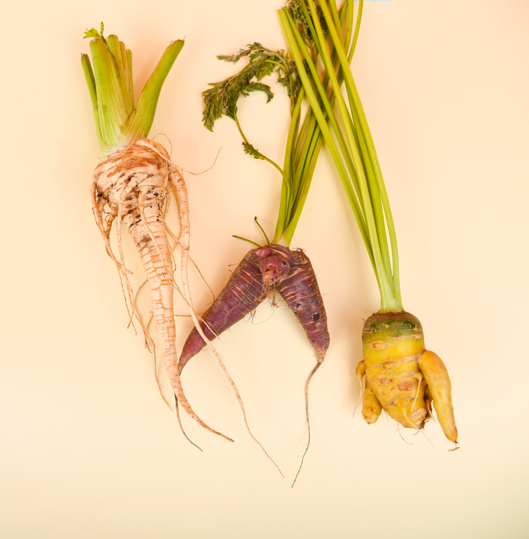 Dubai Start Up Uses AI To Tackle Food Waste FairPlanet dubai-start-up-uses-ai-to-tackle-food-waste-fairplanet