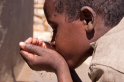 6550719921_4e8b58d70a_5k