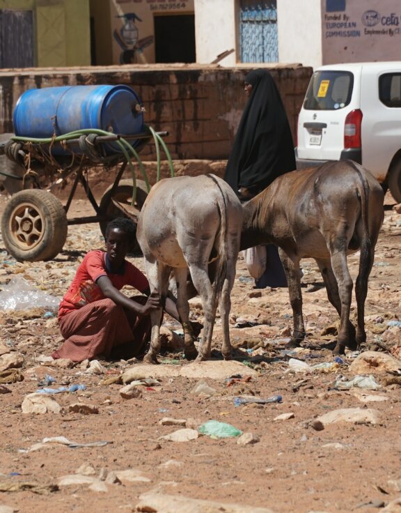 ismail-salad-osman-hajji-dirir-IbmLlqMCD-c-unsplash