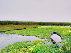 jubin-deka-2-x4MPMEy6U-unsplash