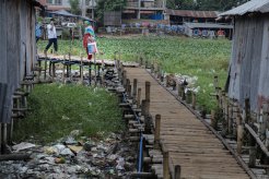 29688860693_423ea33734_k