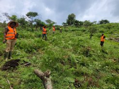 Community volunteers participating in tree planting_