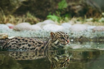 frida-lannerstrom-8LJrO7D-GgE-unsplash frida-lannerstrom-8LJrO7D-GgE-unsplash