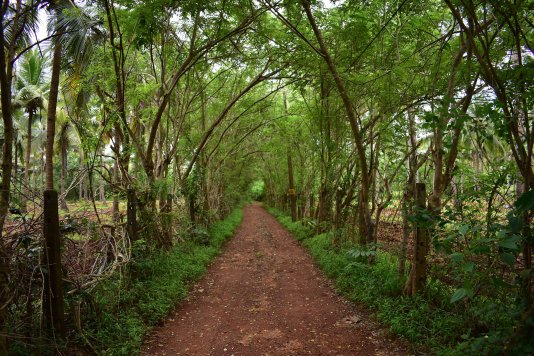 African climate scientists and climate justice activists are urging their governments to demand that the big emitters pay for the damage resulting from their actions.