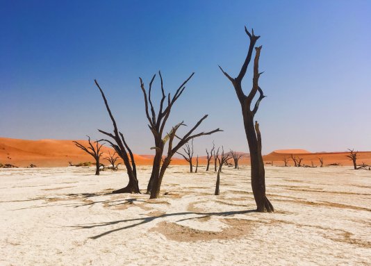 \'Africa is experiencing the greatest climate impacts of any region in the world.\'