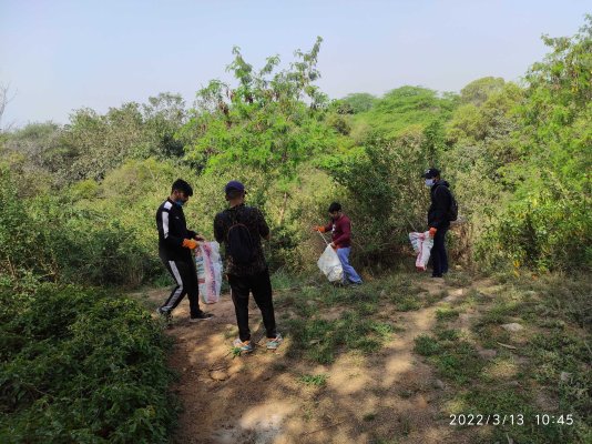 Most of Delhi\'s remaining green spaces are non-forest or non-viable areas.