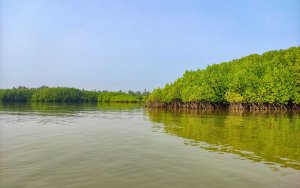 vishwasa-navada-k-EK9u6IyUldw-unsplash