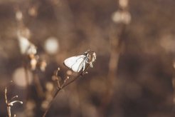 douglas-pontes-tQGQEVPXoZY-unsplash