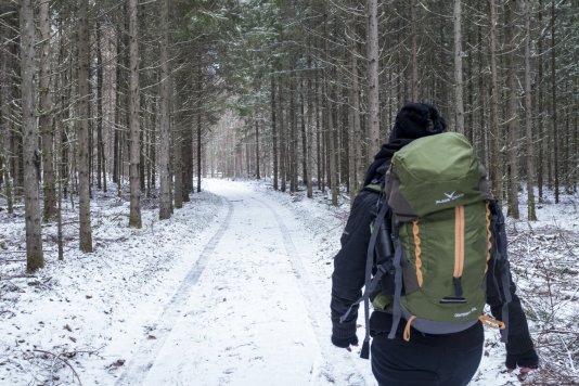 A refugee solidarity activist enters Białowieża Forest in below freezing temperatures in search of refugees.