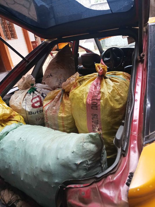 Pangolin scale make up a fertile ground for traffickers in Cameroon. Yet the species is among those protected under the country\'s wildlife-law. Pangolin scale make up a fertile ground for traffickers in Cameroon. Yet the species is among those protected under the country\'s wildlife-law.