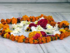 3157201809_04a0c9b574_o