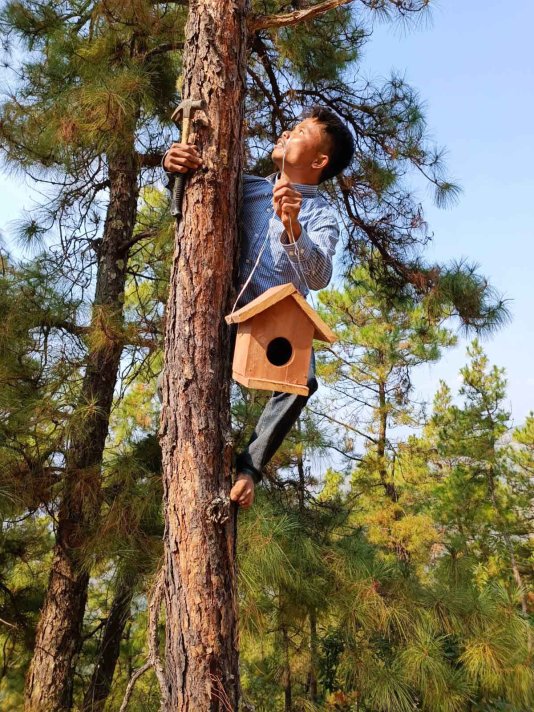 Myanmar ornithologist and bird conservationist U Thet Zaw Naing says Chin State houses 549 different bird species. Two bird species, the White-browed Nuthatch and the Burmese Bushtit, are endemic to the state.