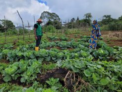 Indigenous women in Bamukumbit have found an alternative in land sustainable land use by cultivating vegetable in regenerated land. A project that leaves them financially independent_