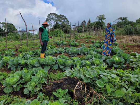 Indigenous women in Bamukumbit cultivate vegetables in regenerated land - a project that makes them financially independent.