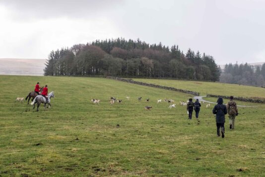 Huntsmen, hounds and saboteurs set off from the anniversary meet.