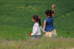 firoz-sidiqy-pQDwXYG9nnw-unsplash firoz-sidiqy-pQDwXYG9nnw-unsplash