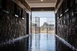 grant-durr-pI3kDdtHkjY-unsplash