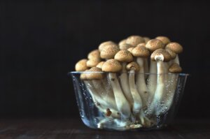 mari-liis-link-cWU4aGioqAY-unsplash mari-liis-link-cWU4aGioqAY-unsplash