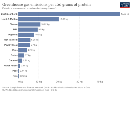 This chart shows the carbon emissions by food per 100 grams of protein. Beef, by far, releases the most greenhouse gasses, over 50x more than nuts.