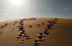 Divergent footprints