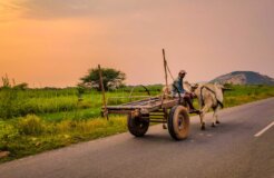 vishnu-vardhan-QBPddOh-hQE-unsplash vishnu-vardhan-QBPddOh-hQE-unsplash