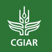 31aa2c3f-cgiar_ss