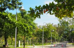 rutpratheep-nilpechr-SZng594ldIg-unsplash