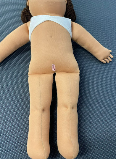 Anatomical doll.