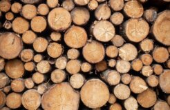 justus-menke-fltWcgh69-8-unsplash justus-menke-fltWcgh69-8-unsplash