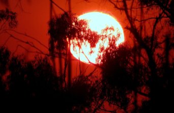 craig-manners-BjK2GbvzooI-unsplash