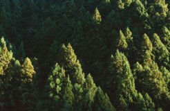 ash-edmonds-3U3Qegatt2o-unsplash ash-edmonds-3U3Qegatt2o-unsplash