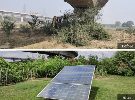 \'In large-scale restoration projects, a more sustainable approach can be taken.\' \'In large-scale restoration projects, a more sustainable approach can be taken.\'