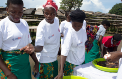 Women taught fish processing skills PIC courtesy of REFRESH project