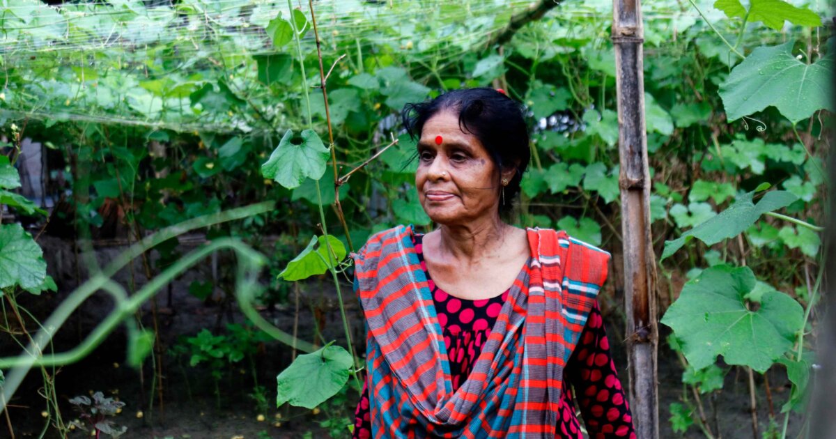 Can native seeds be the answer to food insecurity? | FairPlanet