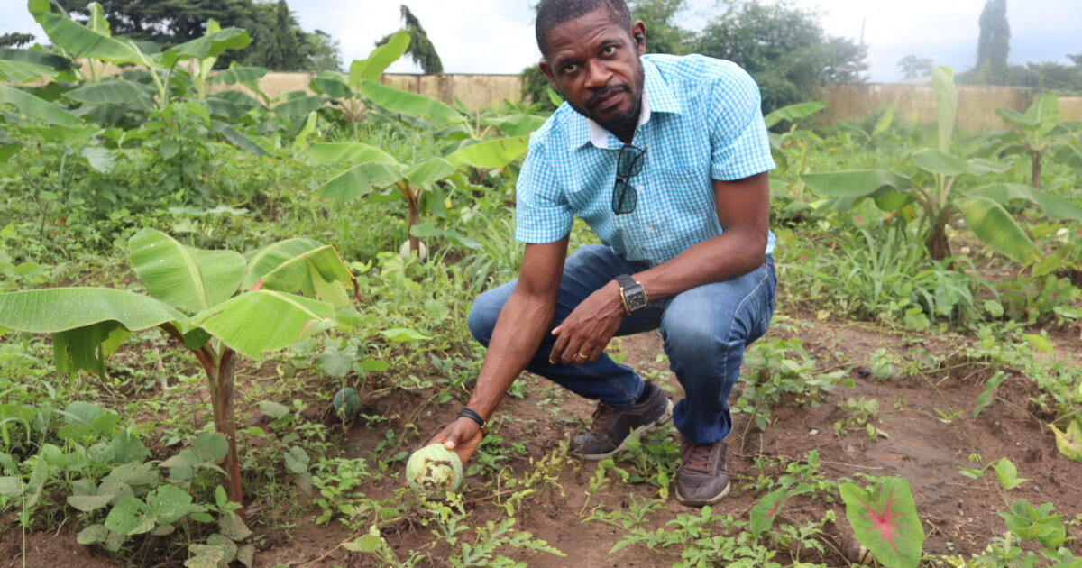 Cultivating resilience Addressing food production in a climate crisis Biology Diagrams