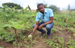 20230718014134_IMG_0792