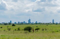 murad-swaleh-7tDidSXbgD8-unsplash