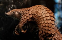 studio-crevettes-mtTpAM2uaRM-unsplash