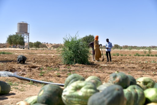Migrants that flee from destitution and lack of economic or employment opportunities mostly come from West African countries such as Senegal and Guinea.
