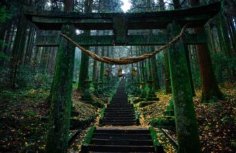 samuel-berner-SFC28TSqPsw-unsplash Medium