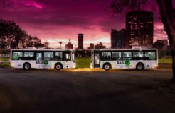 _85A8649-(1) _85A8649-(1)