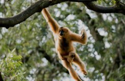 ramon-vloon-FGFwWTpVzBg-unsplash