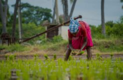 deepak-kumar-fYMUp4NunY4-unsplash