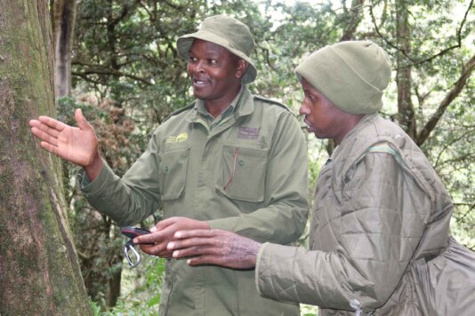 A group of former poachers have stepped up the anti-poaching, anti-logging war by providing on-air and on-the-ground surveillance.